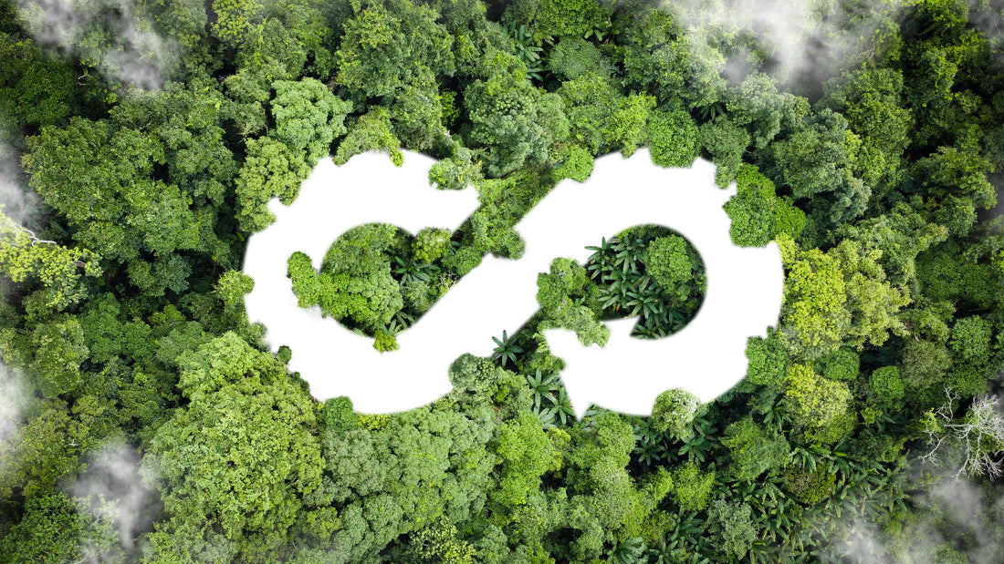 Closed-Loop-Recycling: Eine nachhaltige Lösung für eine grünere Zukunft